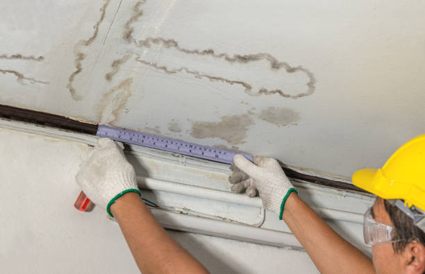 Reliable Water Damage contractor in Twin Lakes, VA by Water Damage Irwin
